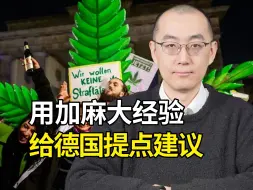 Download Video: 德国大麻合法化，参照加麻大经验，我给出如下建议