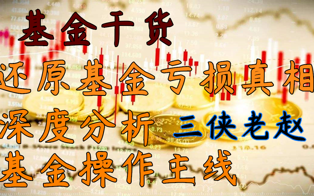 【基金干货】还原基金亏损真相,深度分析接下来基金操作主线哔哩哔哩bilibili