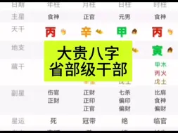 大贵八字，省部级干部的八字