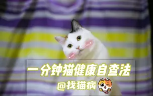 下载视频: 猫咪不舒服的表现图解