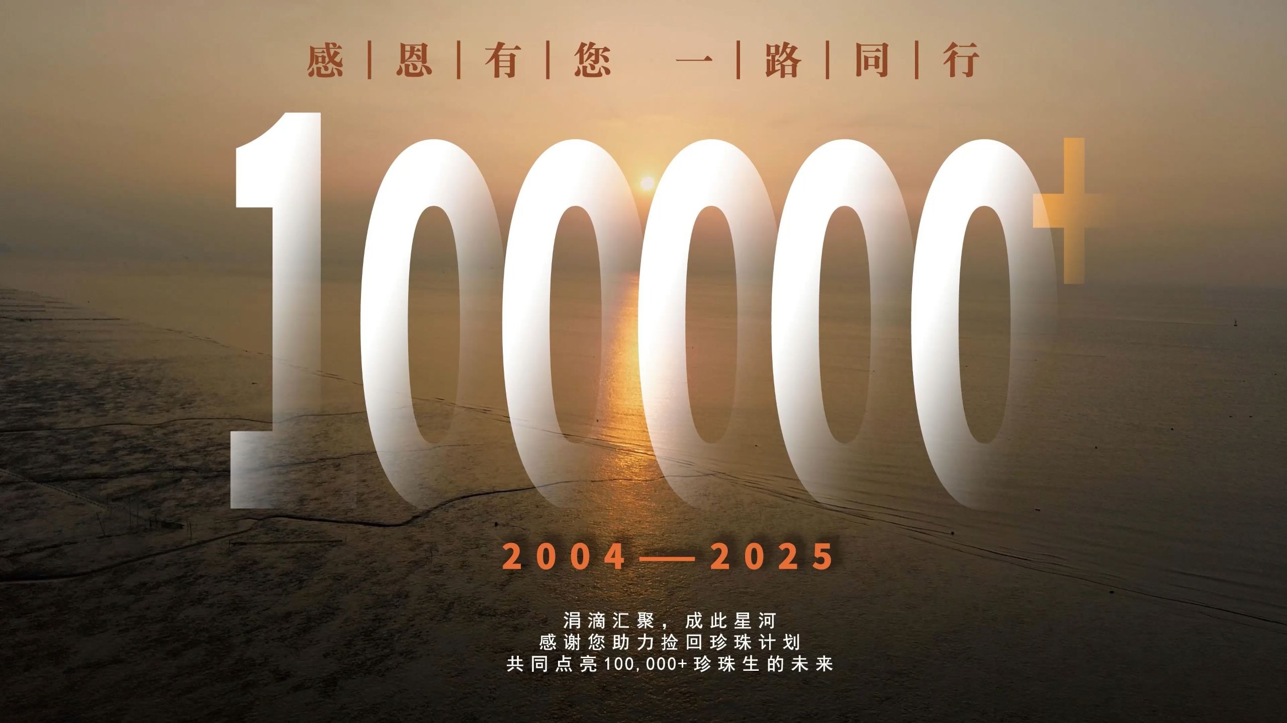 捡回珍珠计划2025年走访汇报片：为什么十万加？
