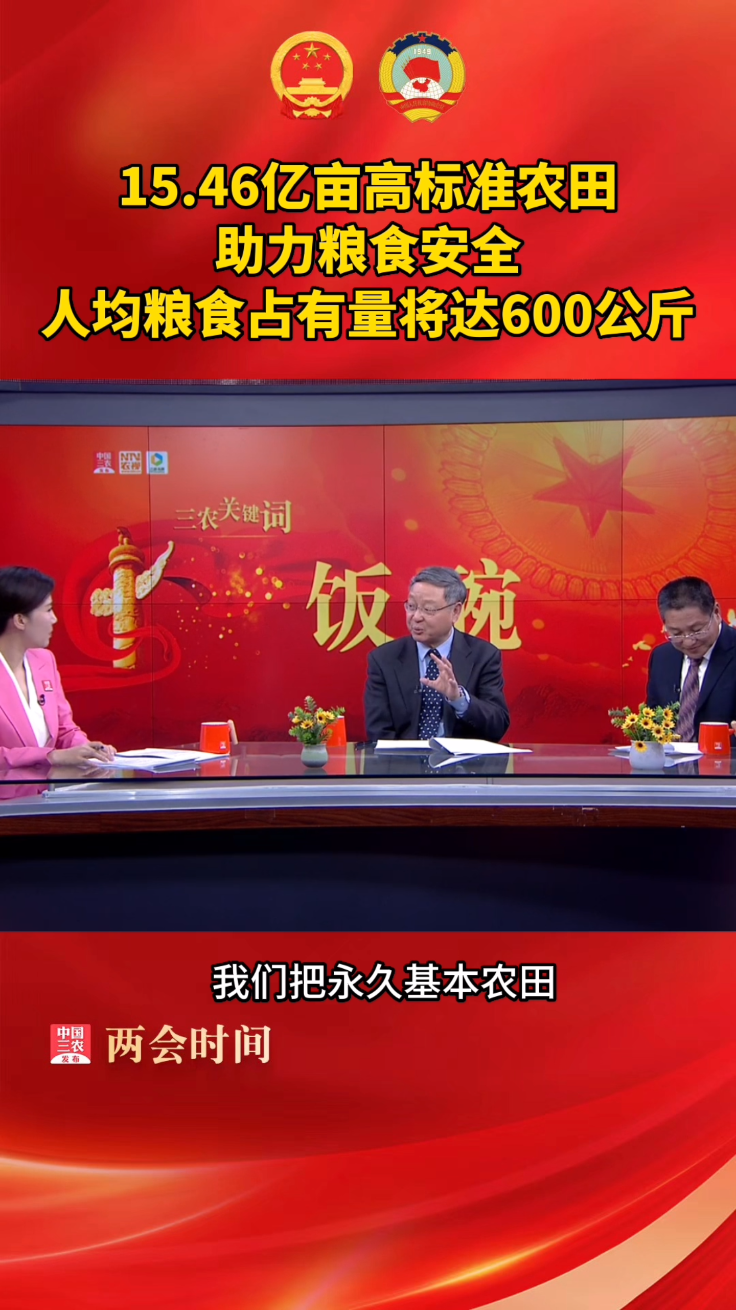 15.46亿亩高标准农田助力粮食安全 人均粮食占有量将达600公斤哔哩哔哩bilibili