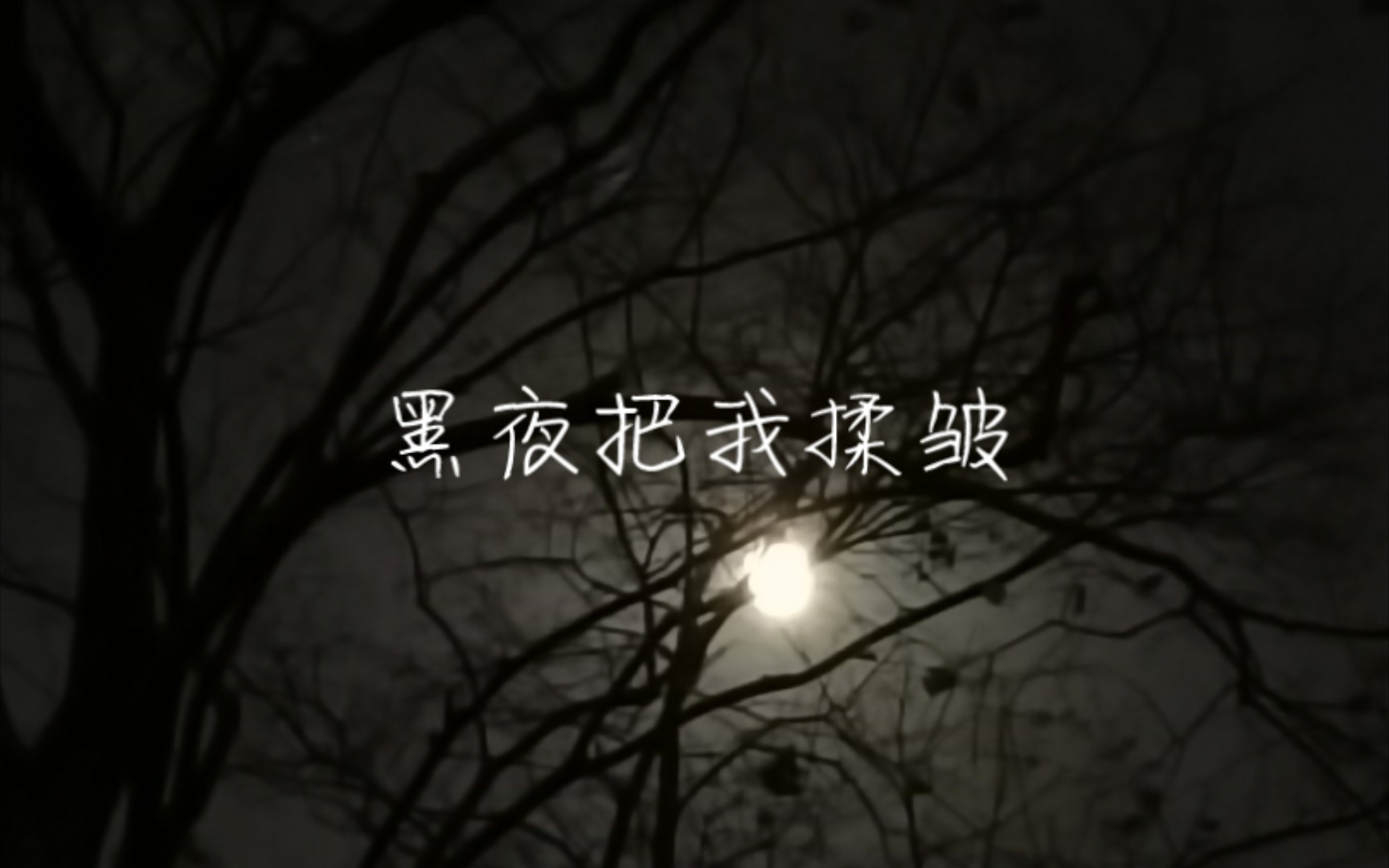 文字一点《黑夜把我揉皱》