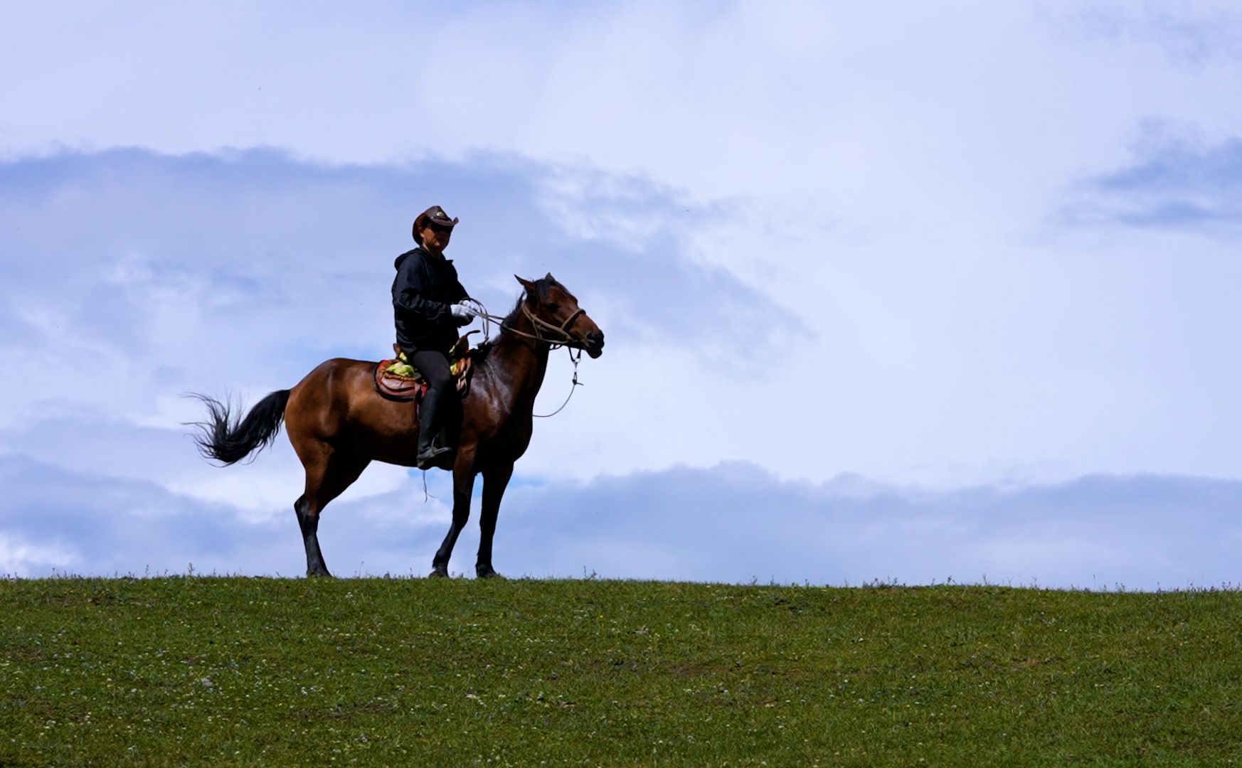 他放弃百万年薪去阿勒泰养马放牛