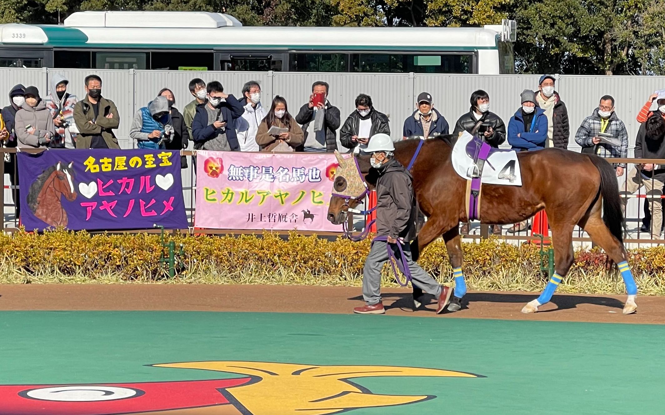 [图]2023.1.1【名古屋競馬】19岁老奶奶（4号 ヒカルアヤノヒメ）新年第一跑！