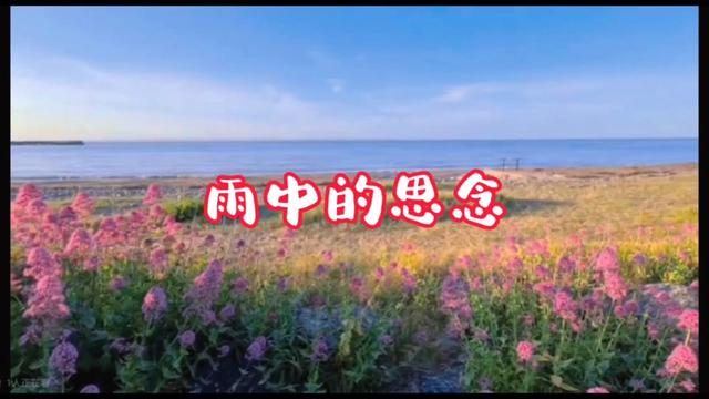 祁隆的经典老歌《雨中的思念》