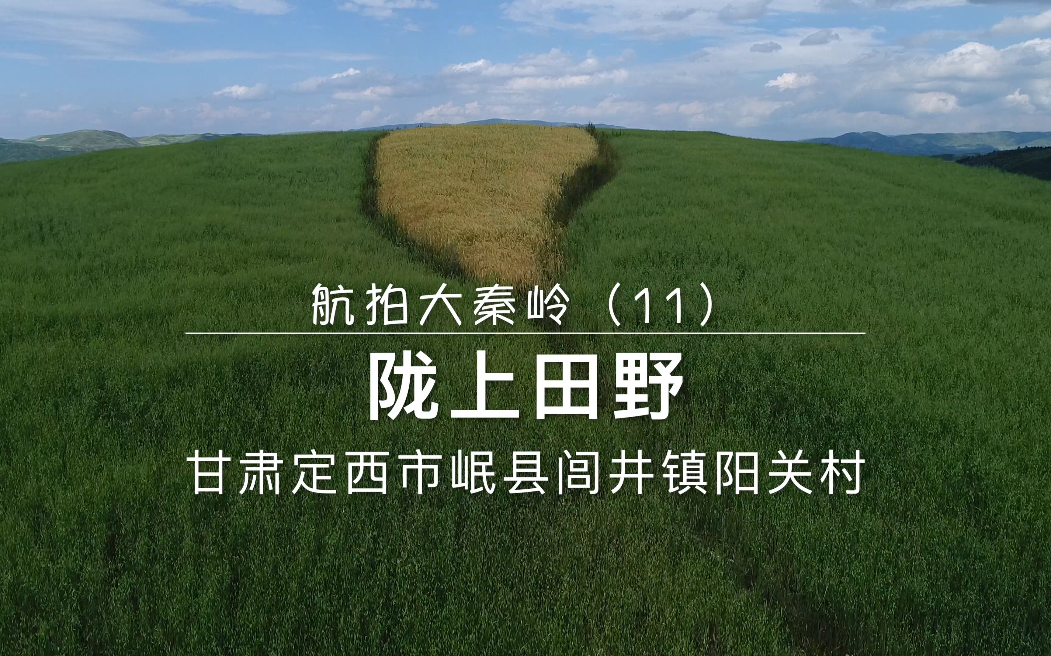 航拍大秦岭11:陇上田野,甘肃定西市岷县闾井镇阳关村哔哩哔哩bilibili