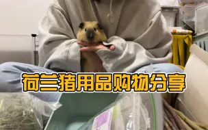 荷兰猪用品购物分享