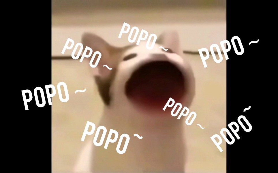 【popo 猫】一小时循环高清特别版_哔哩哔哩 (゜-゜)つロ 干杯~-bili