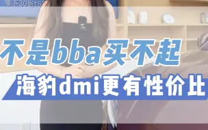 Download Video: 海豹dmi更有性价比