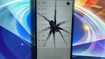 今天才知道，手机上还可以养宠物了，我养了只蜘蛛试试看！