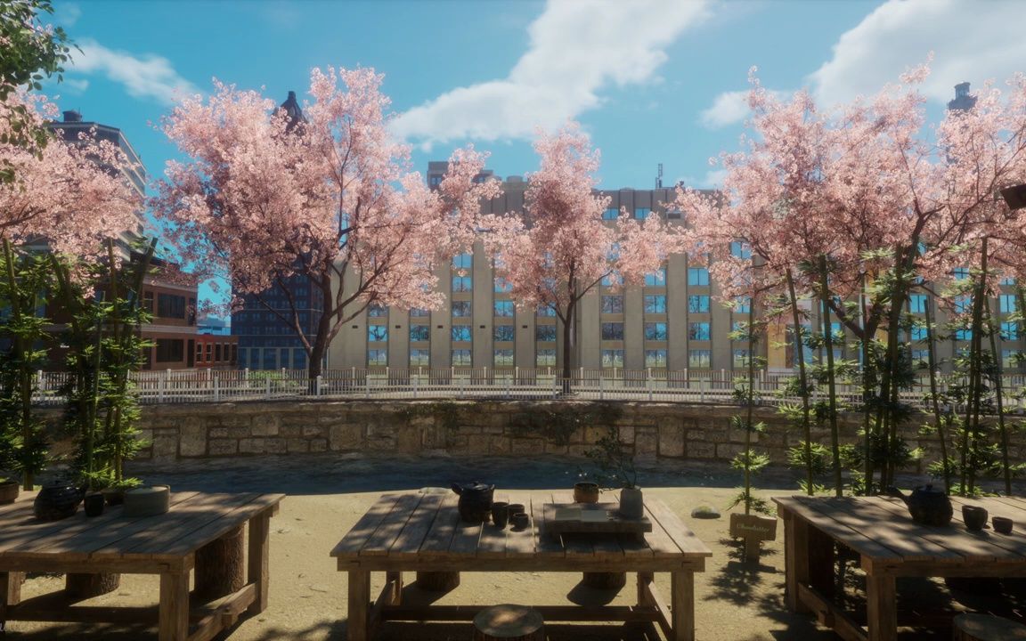 环境音 |An Old Outdoor Cafe With Cherry Blossoms And Blue Stream On A Sunny Day哔哩哔哩bilibili