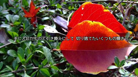 フル歌詞付き Hanabi Mr Children コード ブルー 主題歌 Covered By 黒木佑樹 哔哩哔哩