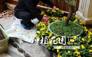 花境园 搜索结果 哔哩哔哩 Bilibili