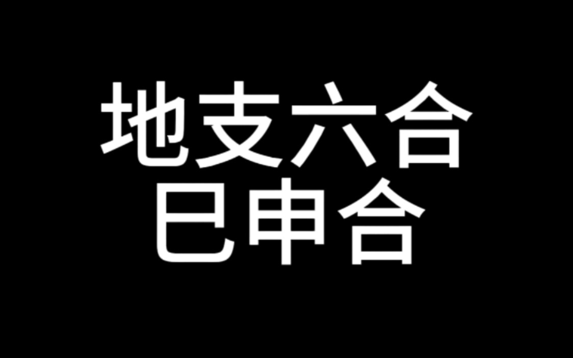 【地支六合】干货!!巳申合解析!!哔哩哔哩bilibili