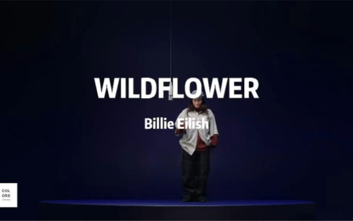 Billie Eilish《WILDFLOWER》哔哩哔哩bilibili