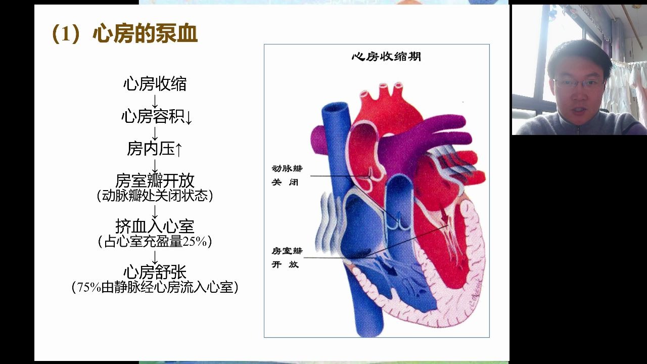 20200226循环系统疾病心脏的泵血功能及其影响因素哔哩哔哩bilibili