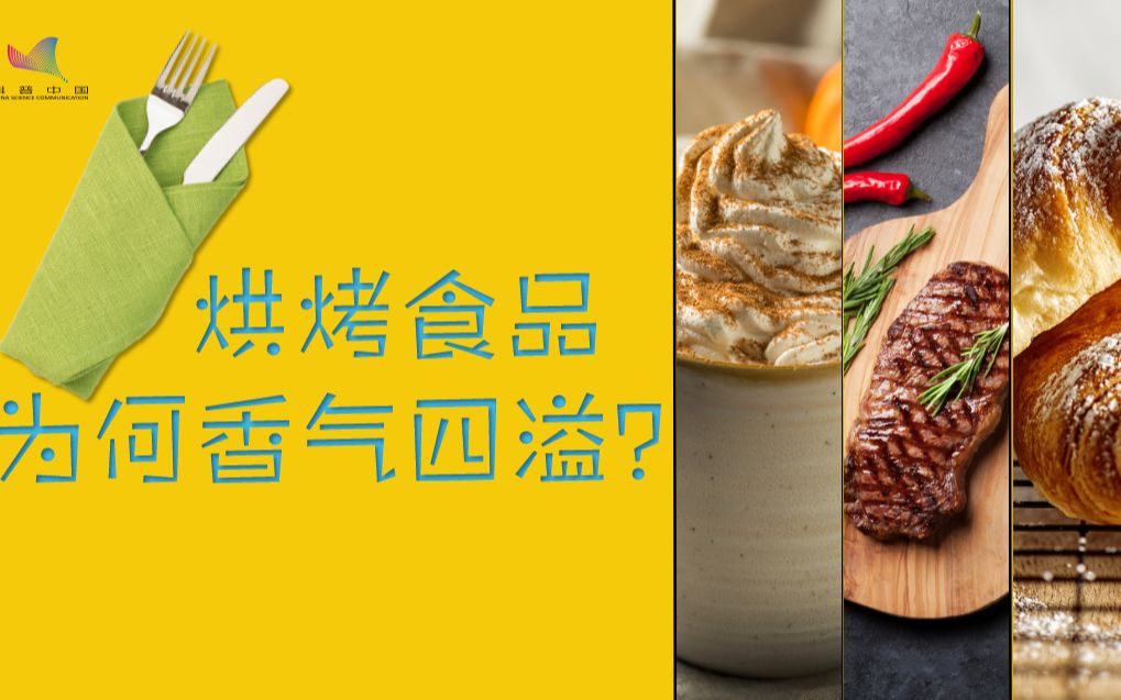 烘焙食物为啥会香气四溢?哔哩哔哩bilibili