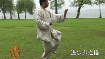 赵幼斌杨式太极拳基本功 哔哩哔哩 Bilibili