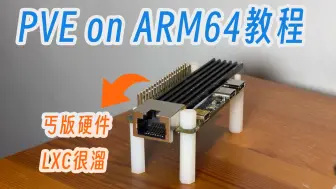 下载视频: 「教程」在arm64设备上安装PVE,只是想让乞丐硬件再多点可玩性！