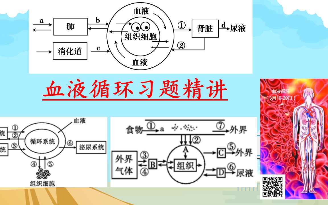 [图]【习题精讲】血液循环习题讲解