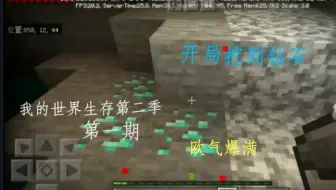 【秋叶子枫】《我的世界生存第二季》＃2欧气爆满