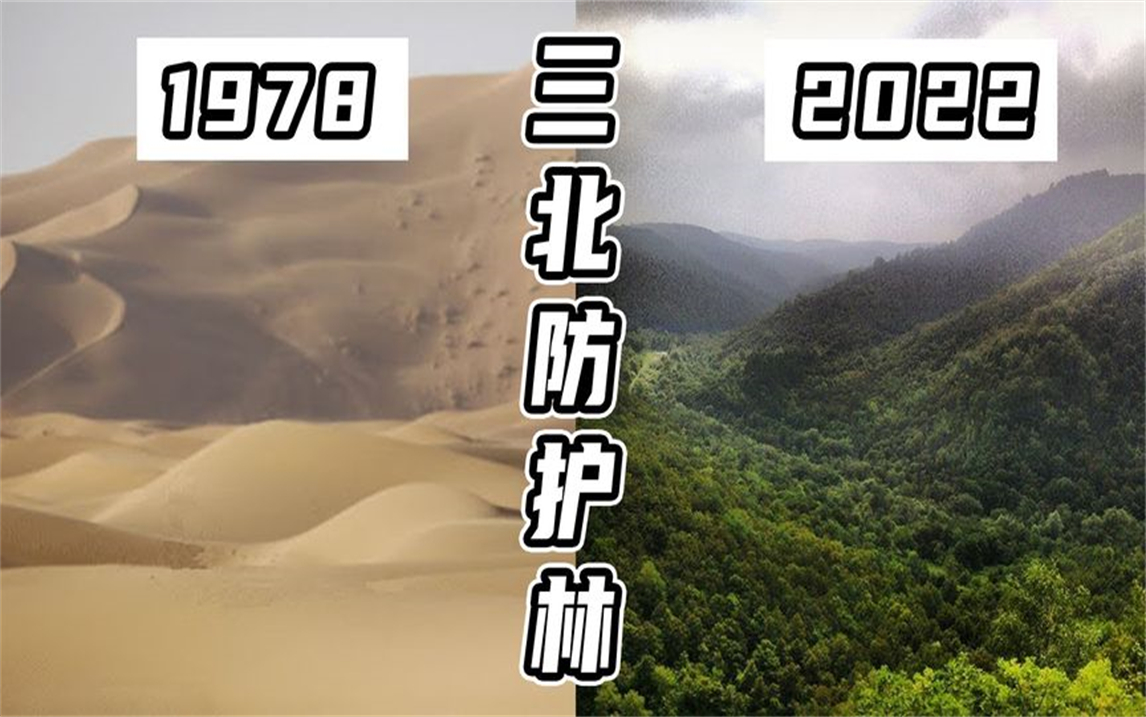 40年覆盖半个中国!3代治沙人的三北防护林,为何现在还有人骂?