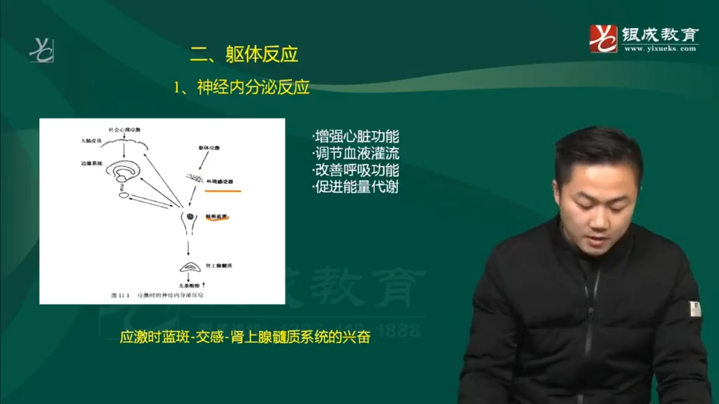 [图]课件3  病理生理学-03（54分钟）