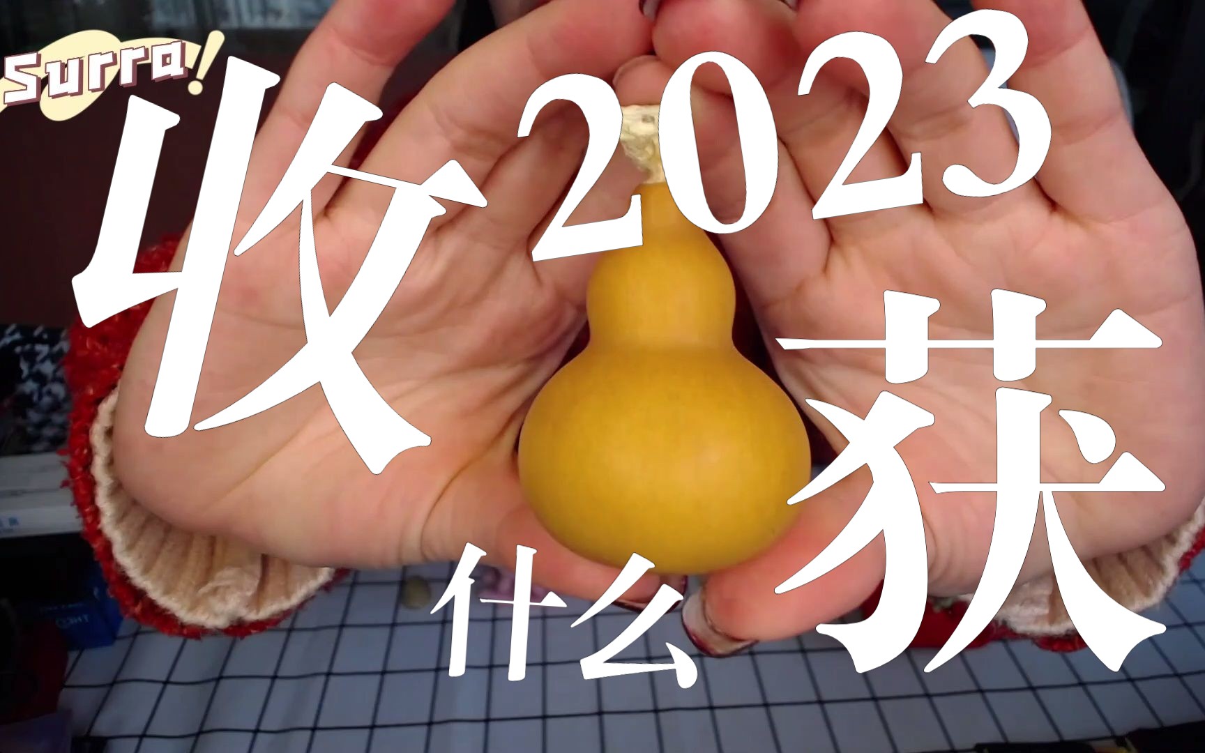【surra】除夕夜前夕:2023年的我会收获什么呢?