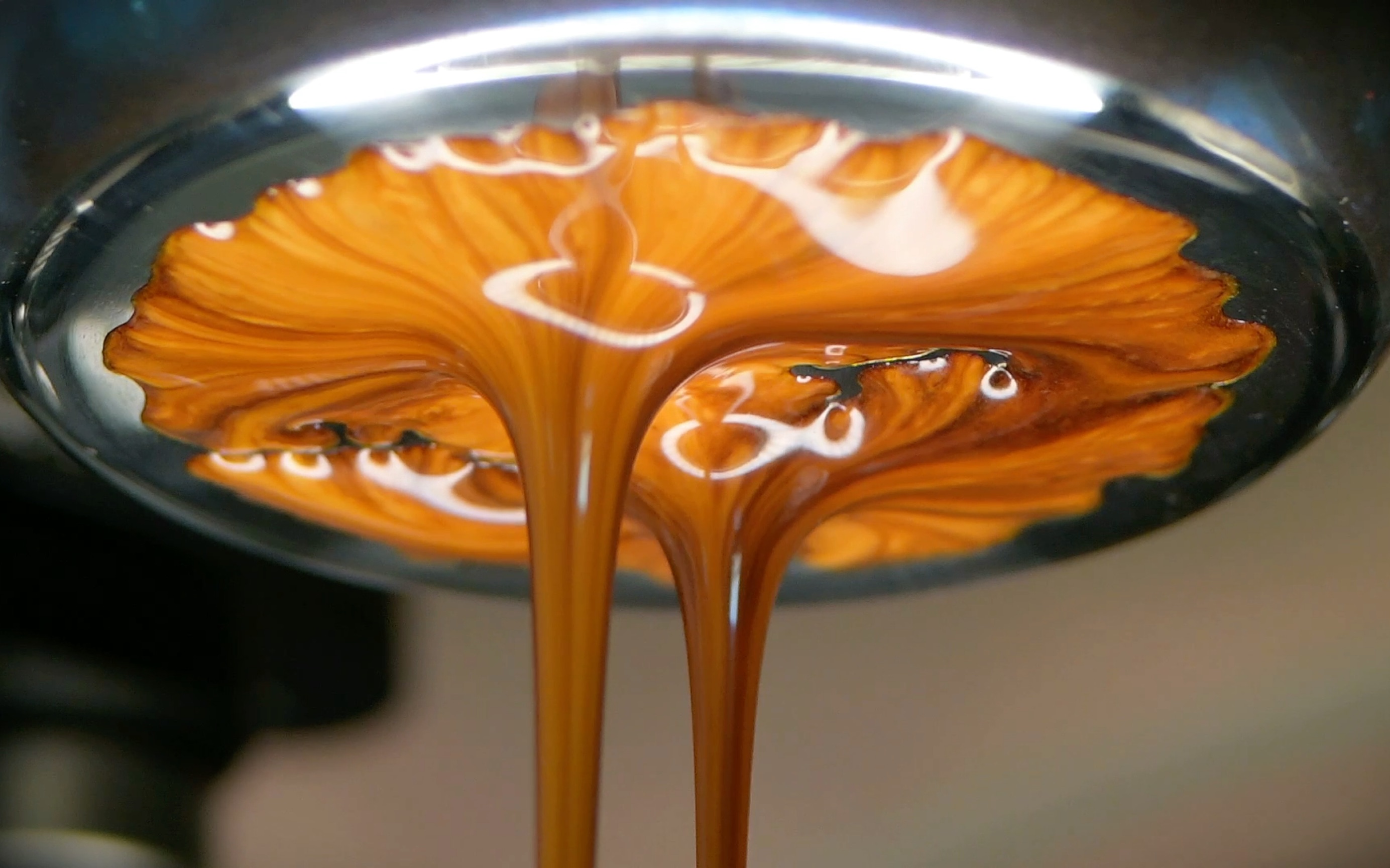 意式咖啡萃取视频,恶作剧粉碗18克