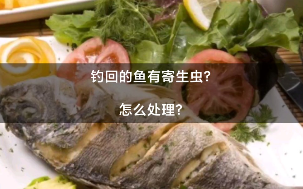 釣回來的魚有寄生蟲?怎麼處理?