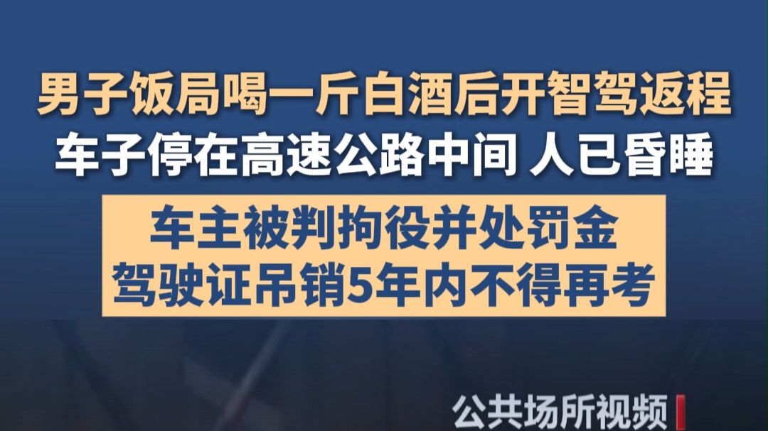 男子饭局喝一斤白酒后开智驾返程，车子停在高速公路中间人已昏睡，车主被判拘役并处罚金，驾驶证吊销5年内不得再考