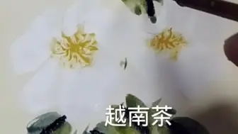 下载视频: 国画写意花鸟