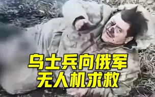 Download Video: 乌克兰士兵向俄军无人机求救，侧卧在地指着受伤的腿不断招手