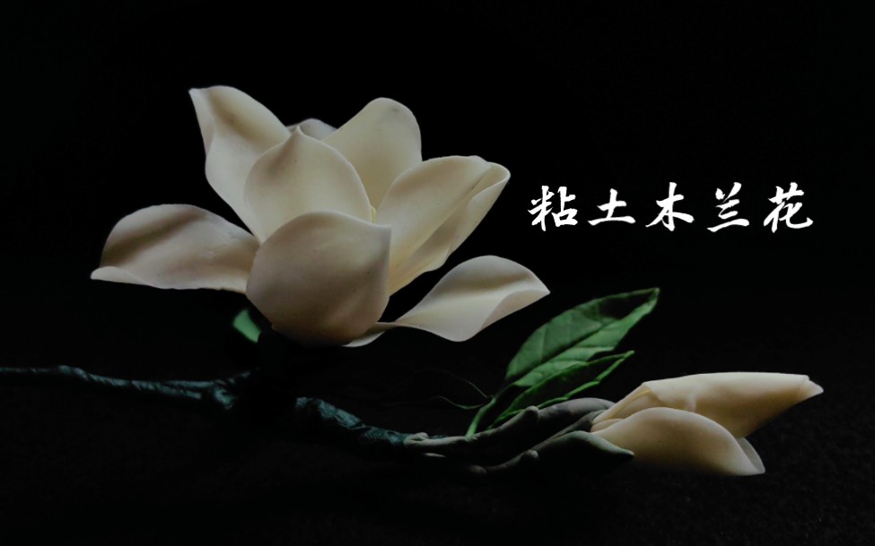 若曦与四爷的木兰花呀,步步惊心在你的青春里有过痕迹吗