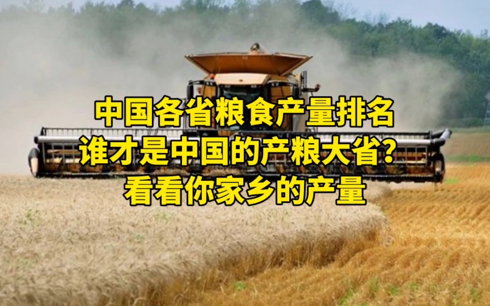 中国各省粮食产量排名,谁才是中国的产粮大省?看看你家乡的产量哔哩哔哩bilibili