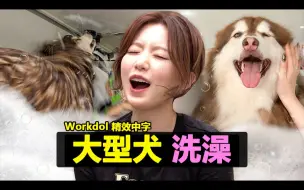 Download Video: [精效中字]230727 舒华个综 Workdol EP.10