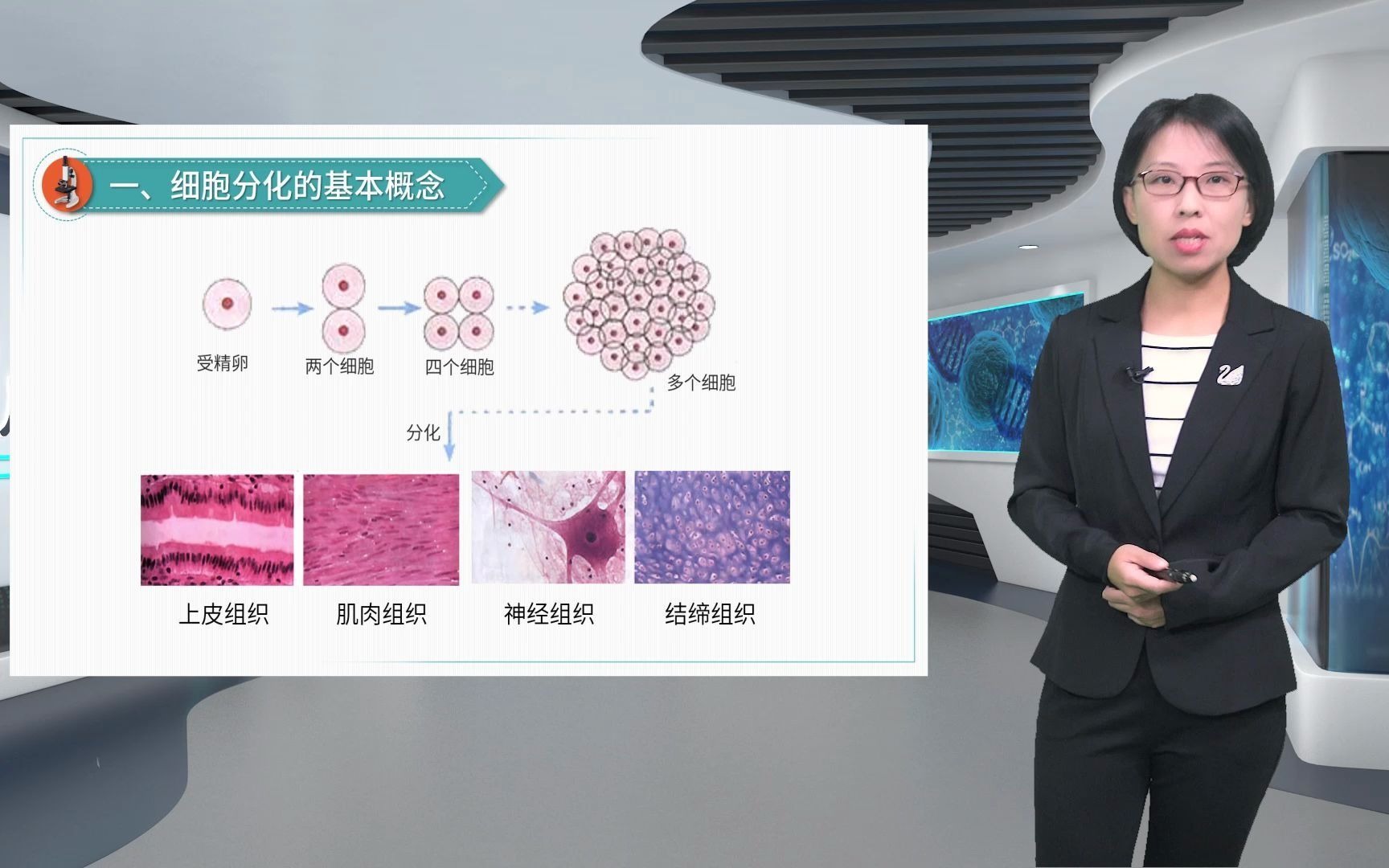 15.1细胞分化细胞生物学崔继红哔哩哔哩bilibili