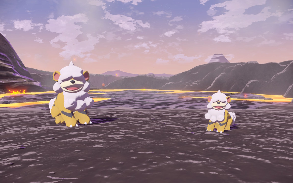 闪光头目卡蒂狗 满几率 254次追梦成功