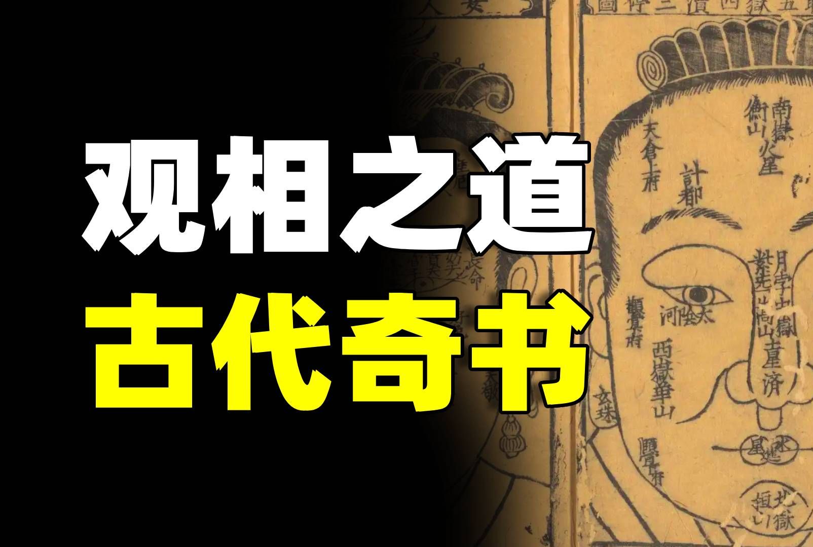 相貌真的能够决定命运?真的存在什么识人之法?古代奇术的真相…-白同学哟-白同学哟-哔哩哔哩视频