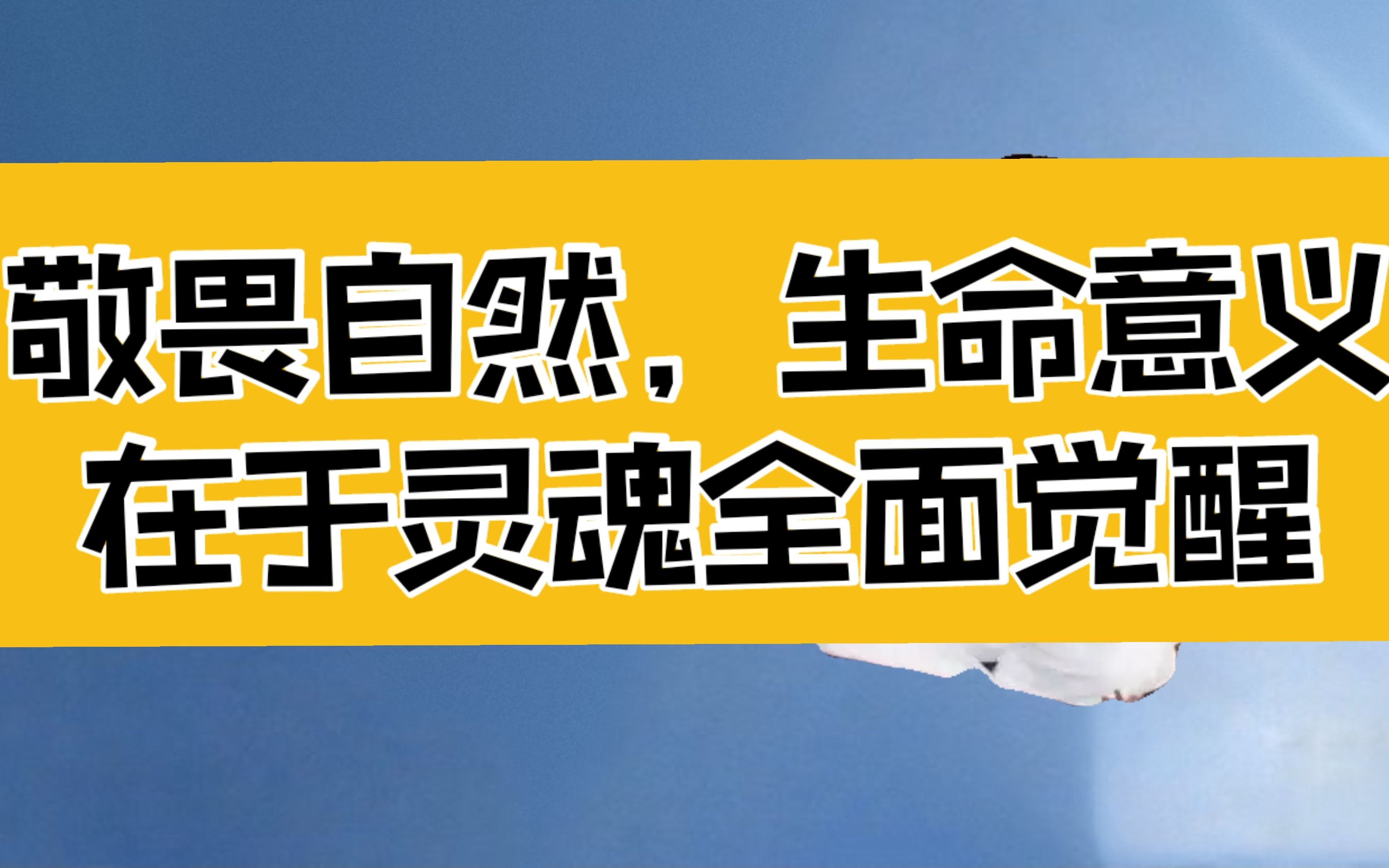 庄子:敬畏自然,每个人都是九死一生,生命的意义在于灵魂的全面觉醒哔哩哔哩bilibili