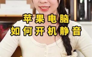 Download Video: 苹果电脑如何设置开机静音