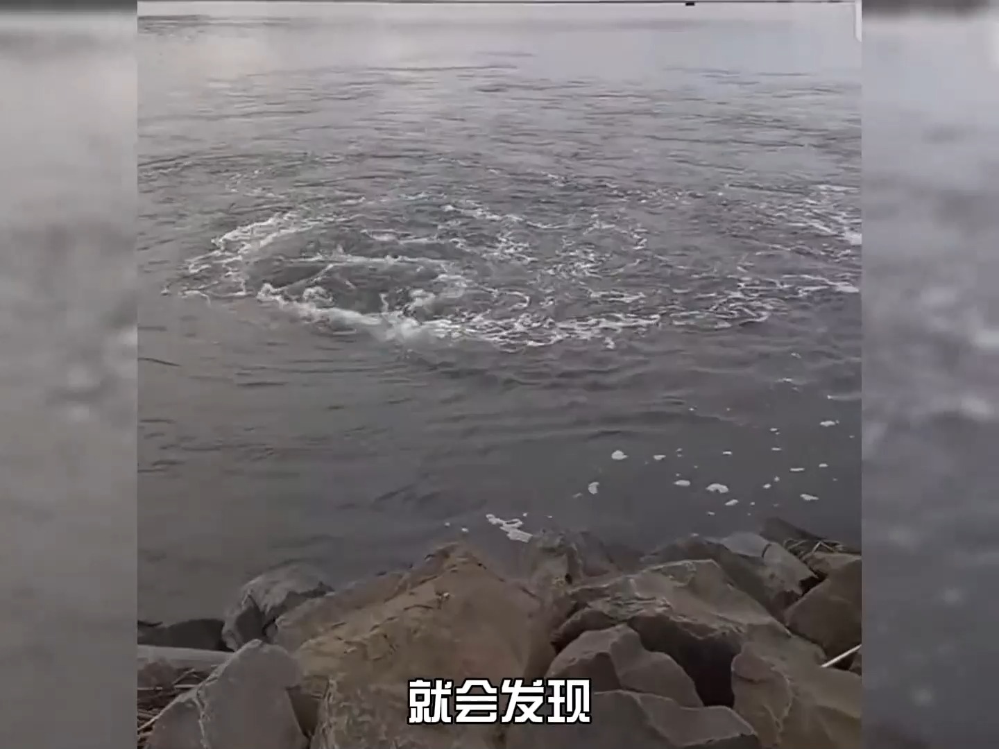251 虽然有些水漩涡看着很有趣,实则是很危险的.#暗流#水漩涡#实验