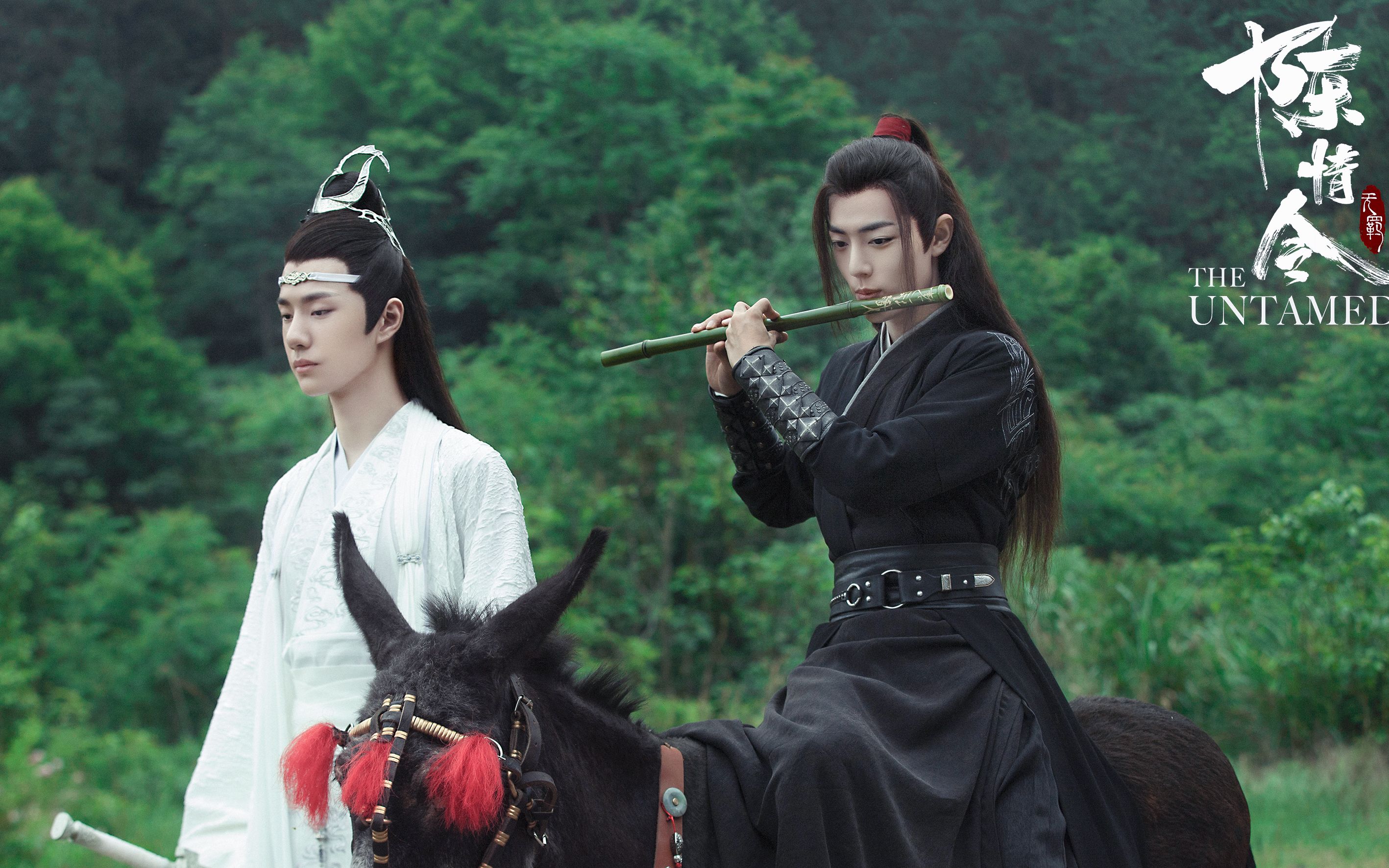 陈情令特别版日版国内版本的大结局