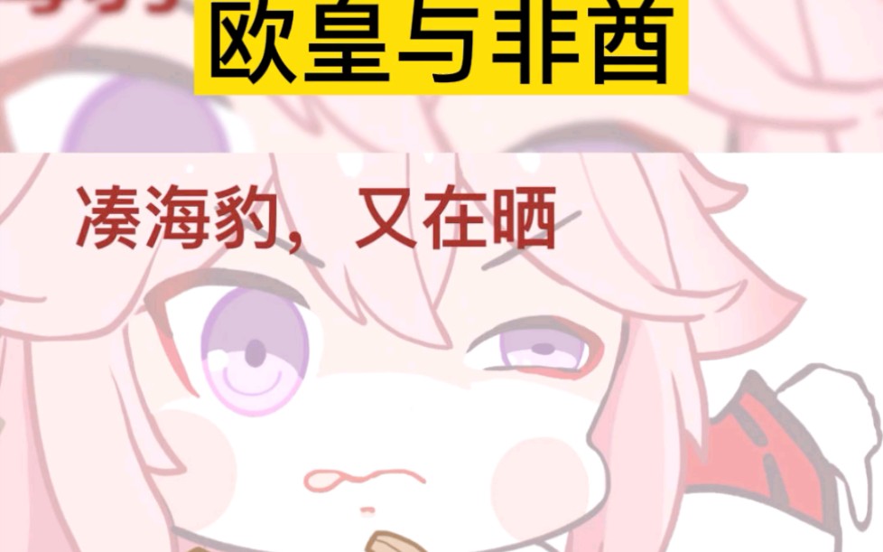 欧皇与非酋_哔哩哔哩_bilibili