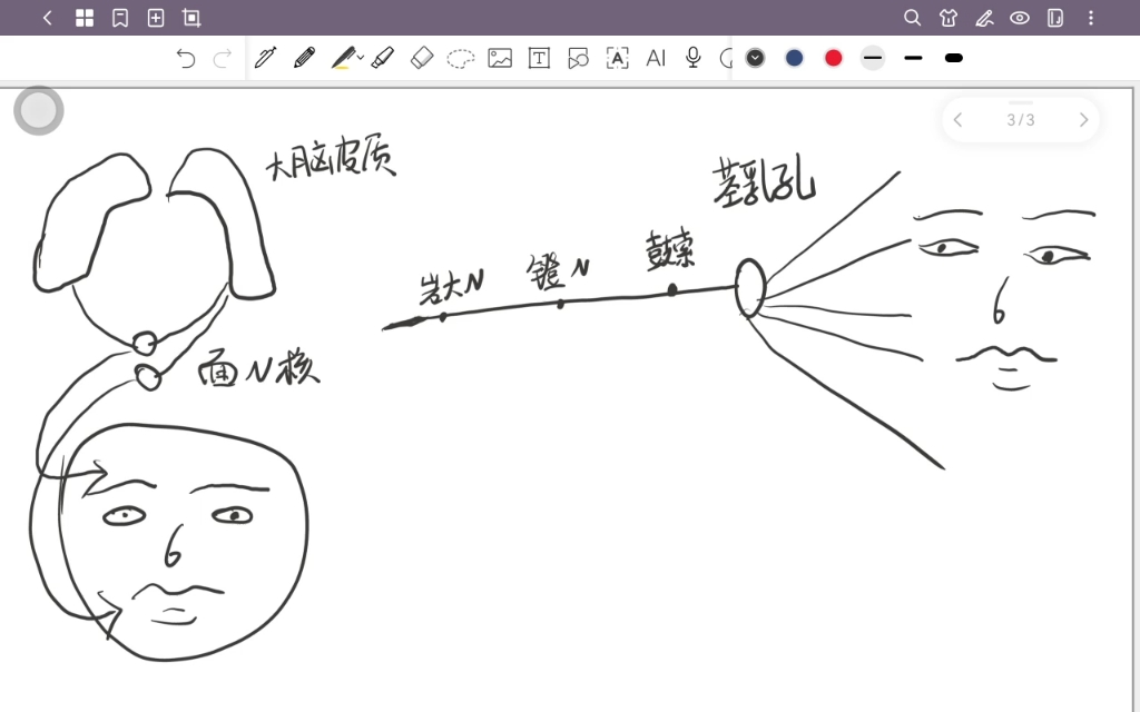 面瘫 核上瘫 核下瘫 面神经分支哔哩哔哩bilibili