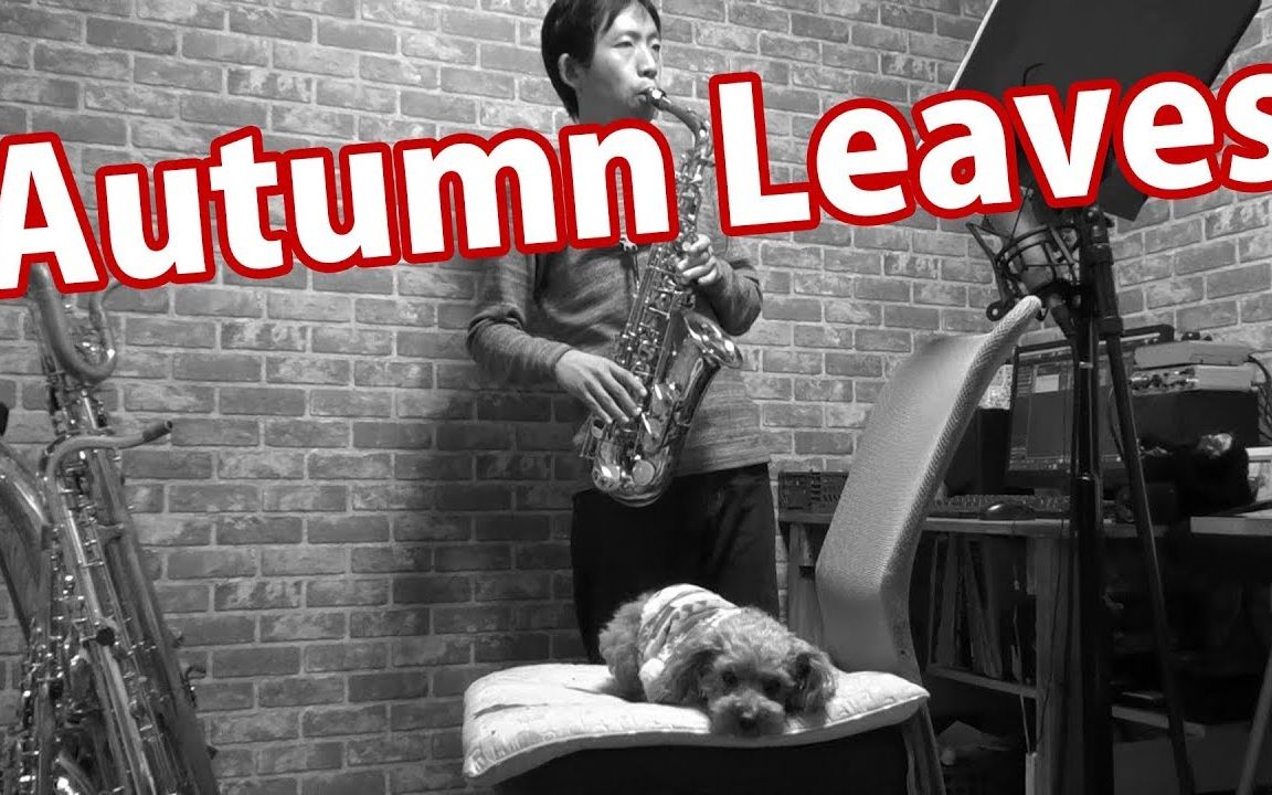 萨克斯秋叶josephkosmaautumnleavesaltosaxophonecover