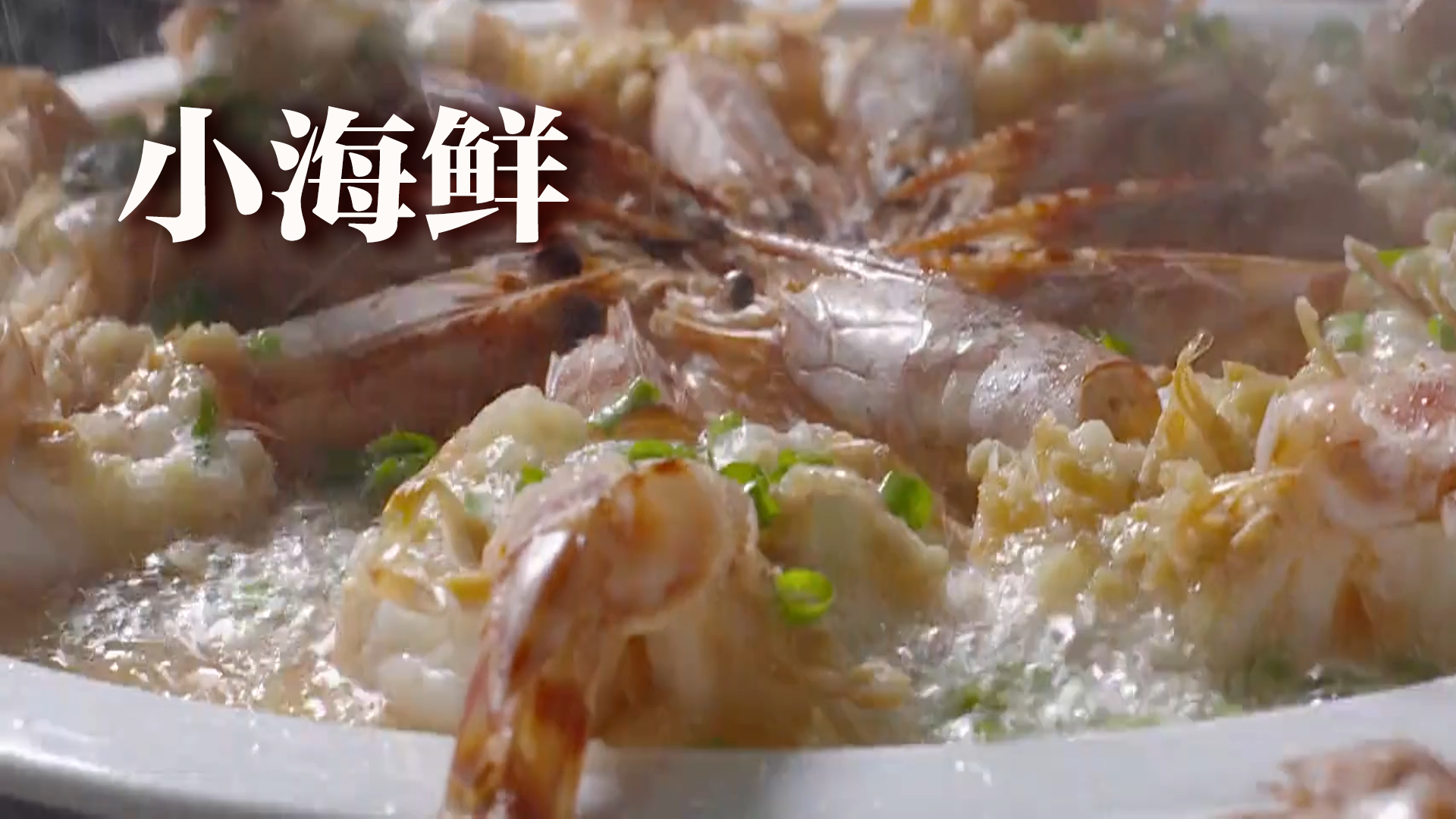 小海鲜第2集-纪录片-全集-高清独家在线观看-bilibili-哔哩哔哩