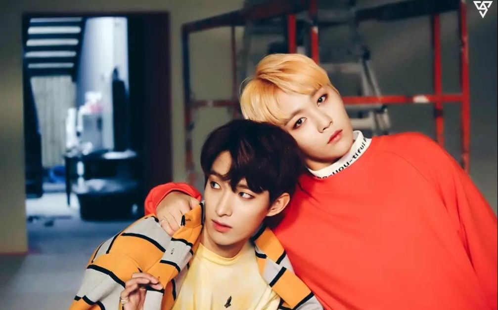 【seventeen】【钻石边儿dvd特别整理6】硕宽定情曲~say yes (演唱会