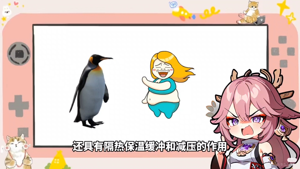 脂质的种类和功能哔哩哔哩bilibili